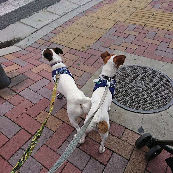 044d3c30 98e0 4068 bbbe 18d8ccf54f6a 1536294049563