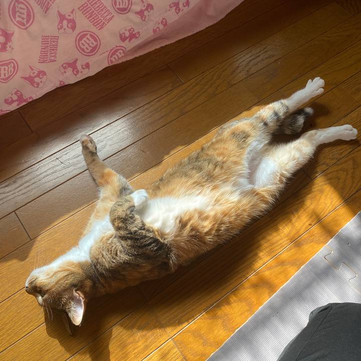 044d4d1f 2c8c 4402 86c3 f6fe60a0a75c 1644204016842