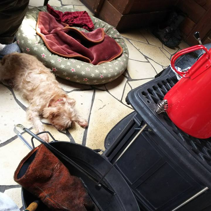 044d937d 6698 43cc aaa8 7ac31091a418 1511315789040