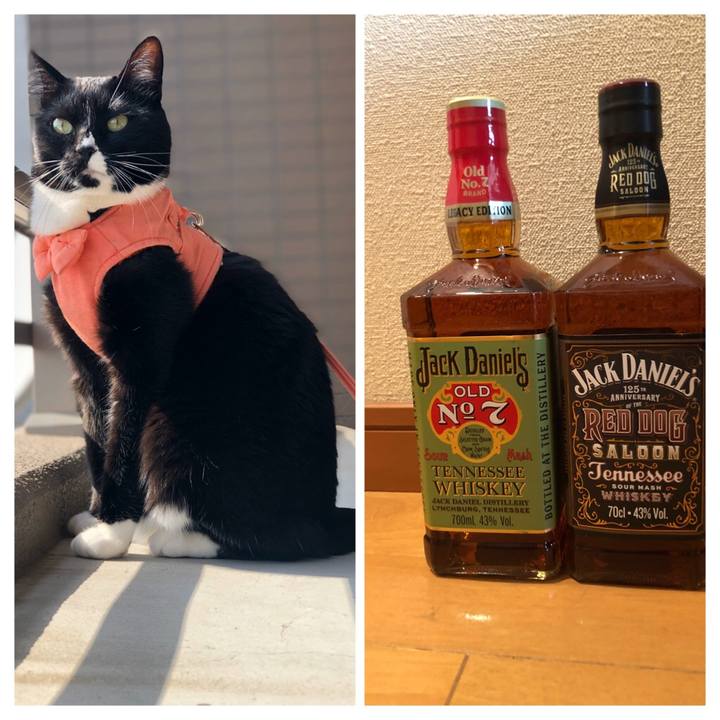 044ddaa9 3fbc 4f46 9b30 dd62dac1bfbe 1587097492926