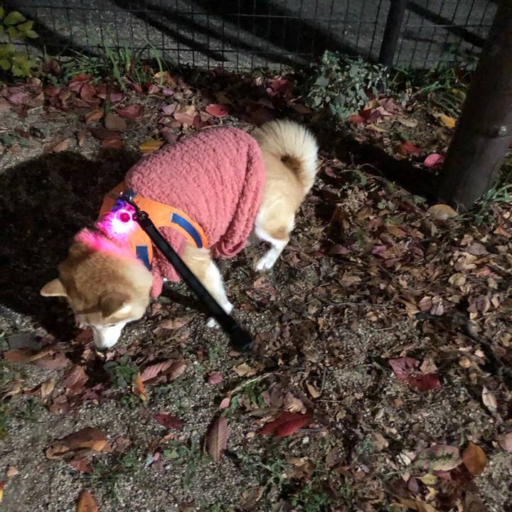 044ddcbb f53f 4972 ac38 d18f99fddfdd 1608040130222