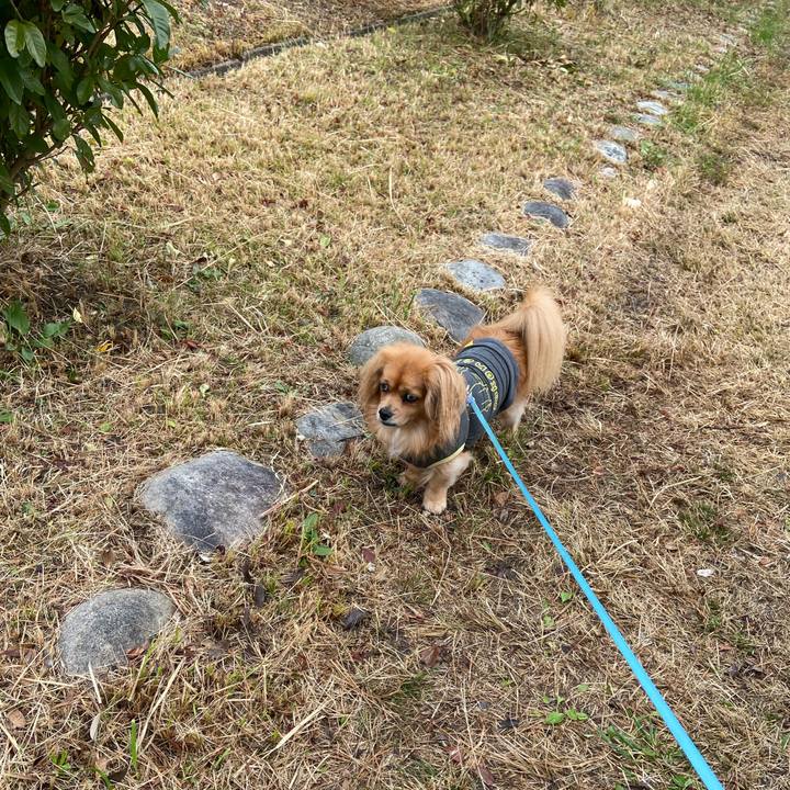 044df65c 68a4 4ef8 8273 10d51914c553 1576885590372