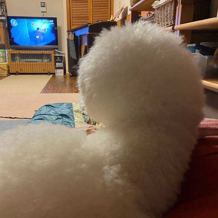 044e01de 513e 43a4 bbc0 6029407ea2d1 1618656937072