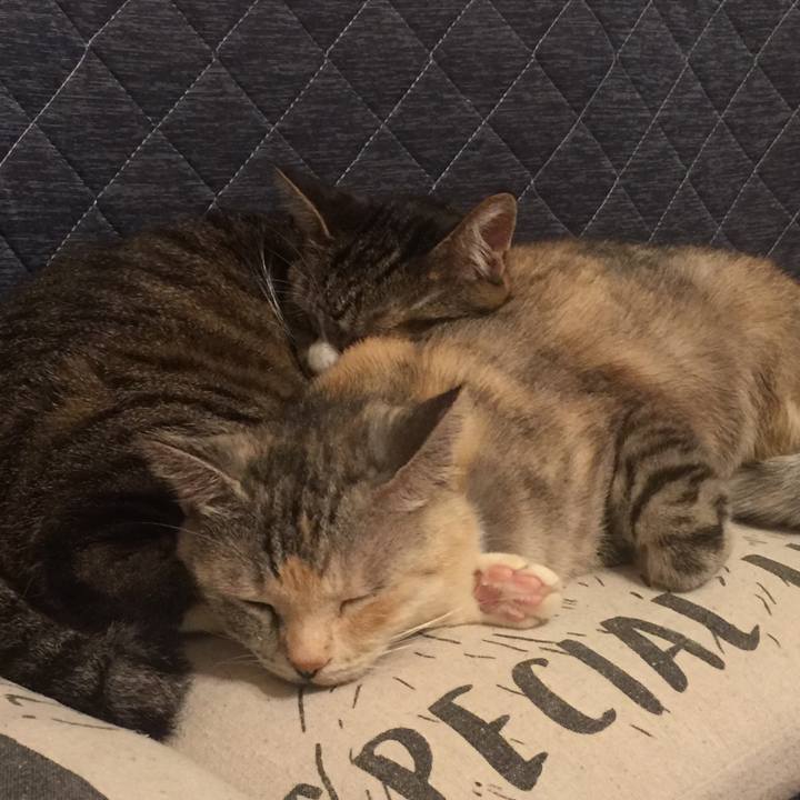 044e200b 0b94 4a08 bee5 353bb252d4a8 1571945534445