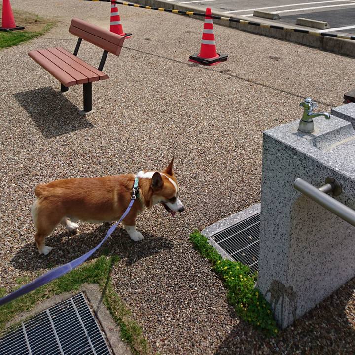 044e3c43 6f96 42c1 8a55 1b8b5f3655bb 1592879788294