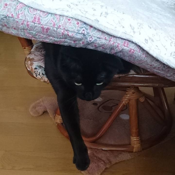 044e512a b3fc 4d06 9969 ec22ffcb01c0 1578214194027