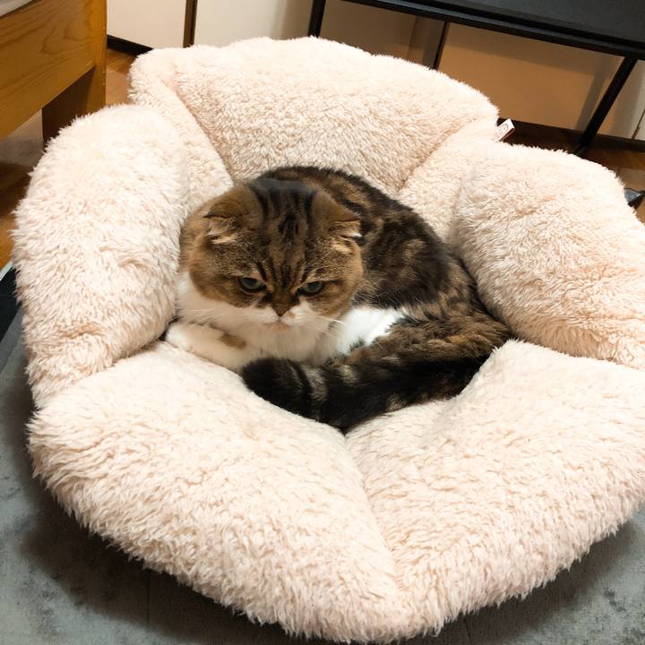 044e6a1c 55af 470b 9f3e f8d0a6d6f5ab 1545061344082