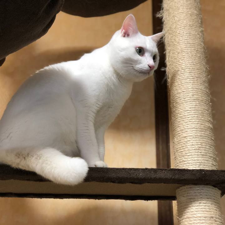 044e71a3 f106 4da5 8ef7 3470ac170df9 1540628288613