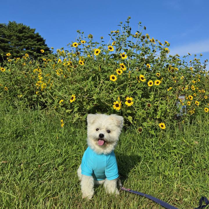 044e91ca 90fb 44fe b97d ce414f882e09 1757126806294