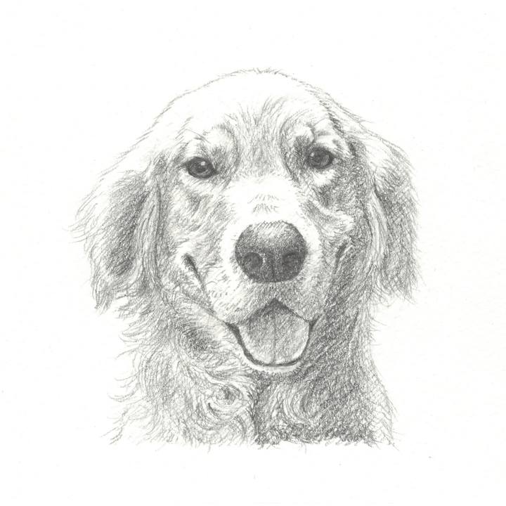 044e9e20 8002 435a a06c 4feeb77bd680 1552918105565