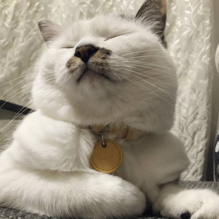 044ea4c6 7532 4122 a553 bdffdd75c464 1563677429841