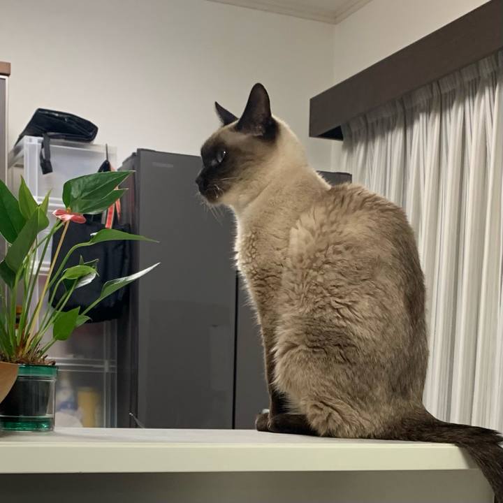 044ec0fb 1aad 4601 9e59 eb19503b7c3d 1610236635007