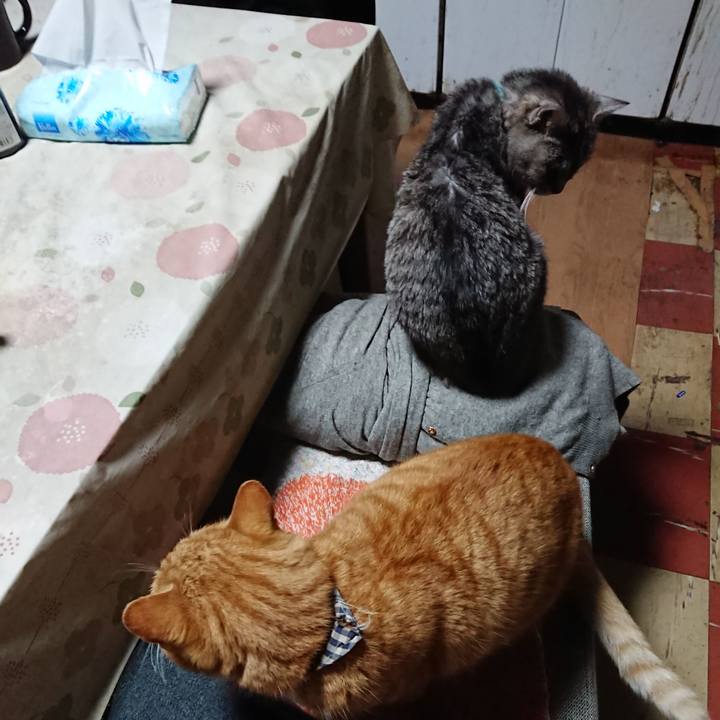 044ec693 211a 402b 992b 892df5932b66 1575923434186