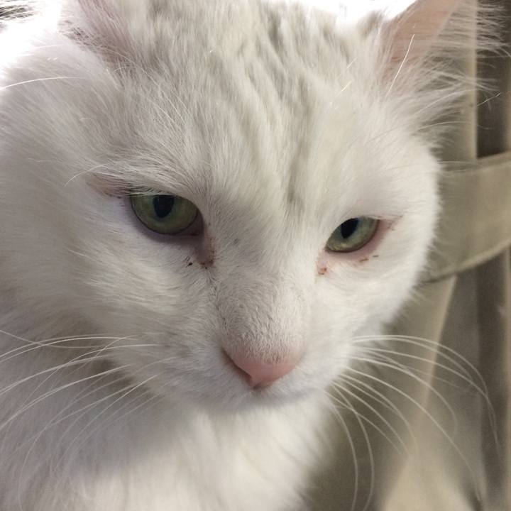 044ecb78 eb1e 4a4c 9441 bba865813197 1514500106908