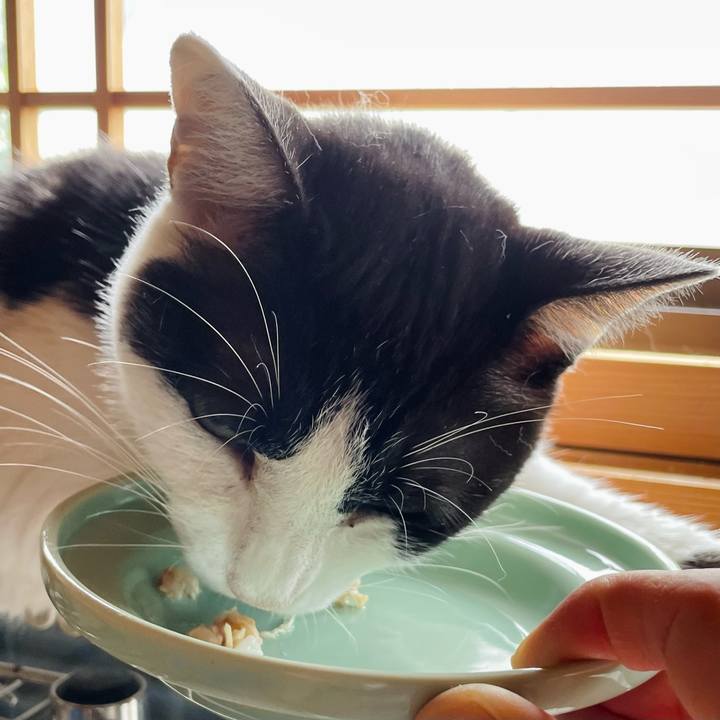 044edf03 9927 47e3 aae7 e7f904d03baa 1661567684678