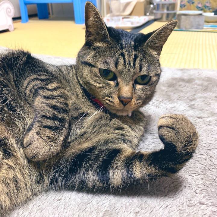 044ee7d9 8508 48a9 b1a4 5cbf4309e9d4 1576759481676