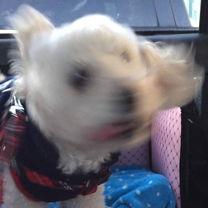 044f3f75 b32f 4df8 a4a8 4c561864834f 1515967469613