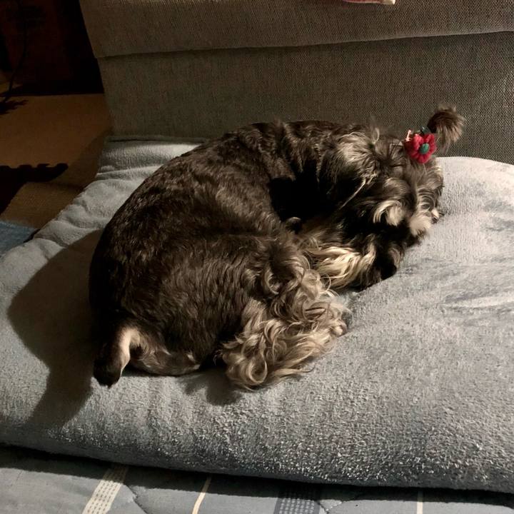 044f589c 1c52 4e30 8dc5 4b371d2c3ada 1694874120037