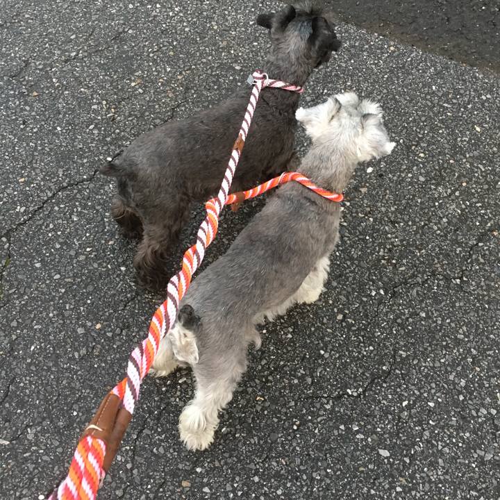 0450123a 9b5e 43a3 b0a1 e4ab8554aea2 1509656863396