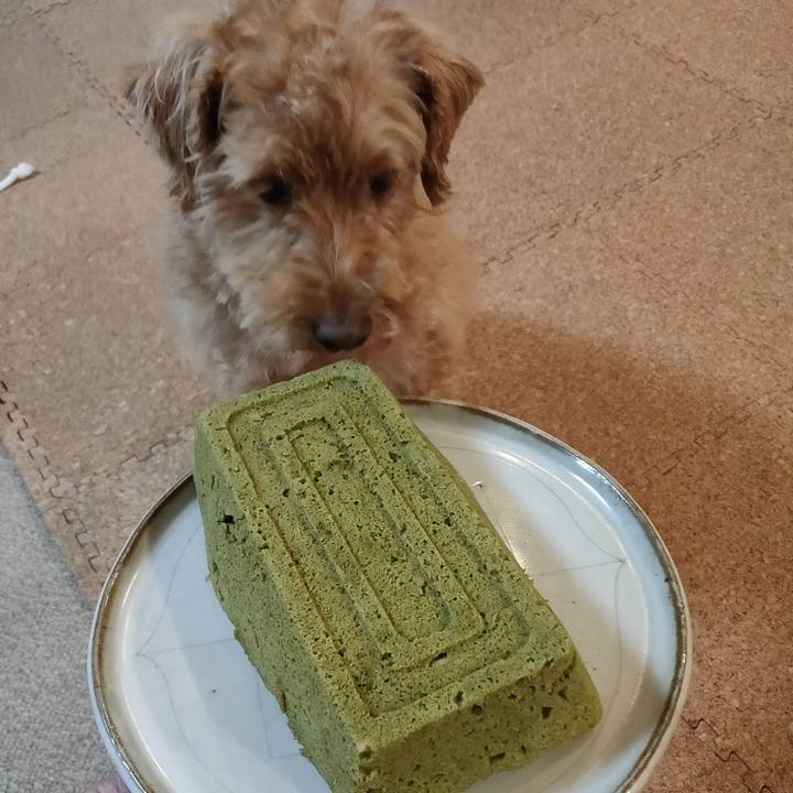 04503b84 5a70 470f 82dd 5eff0f884f47 1585384711242