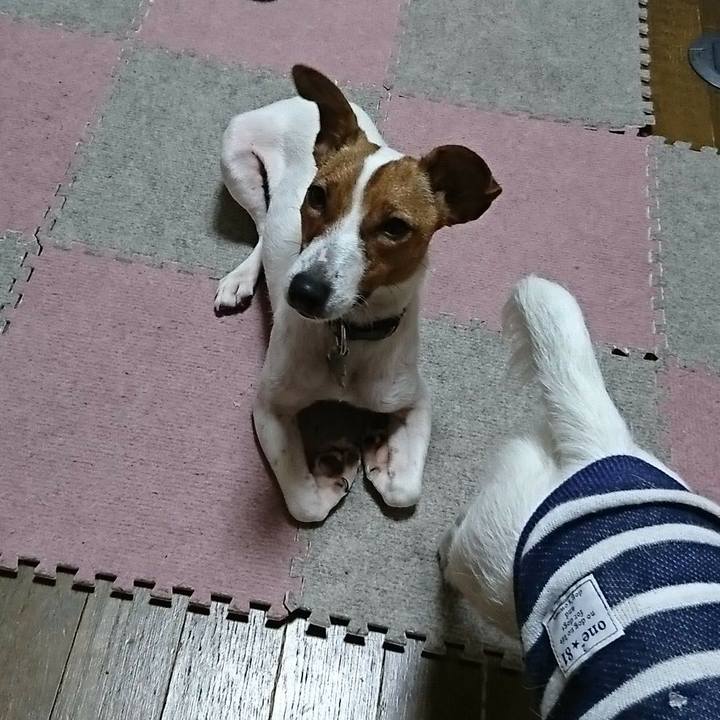 04506096 8474 405e bc3c dca76d5bdc7a 1530795220468