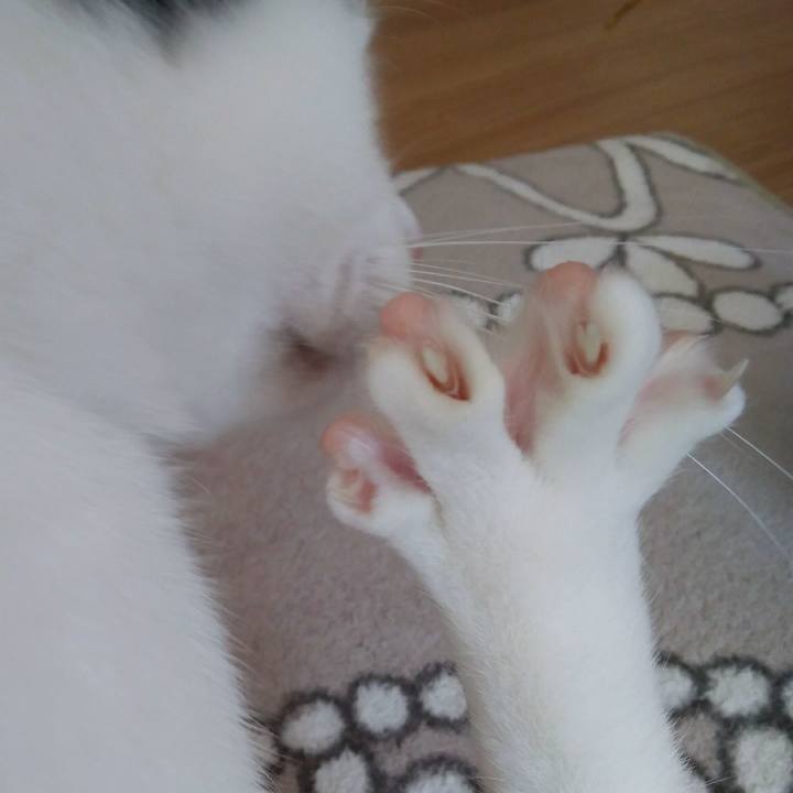 04508b3b 0b89 49cd 8aac d08e3c43b5e8 1552804572442