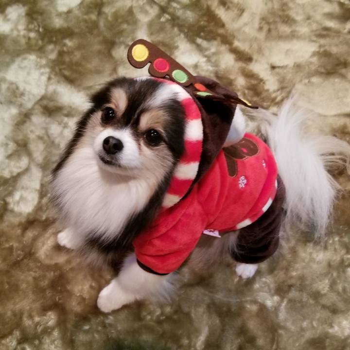 04508fe7 0f23 4191 8e5d 9fc610cf93f9 1577318752909