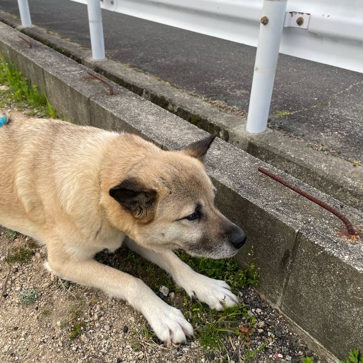 045093ff 6362 4a79 95b8 46a512480296 1680612769031