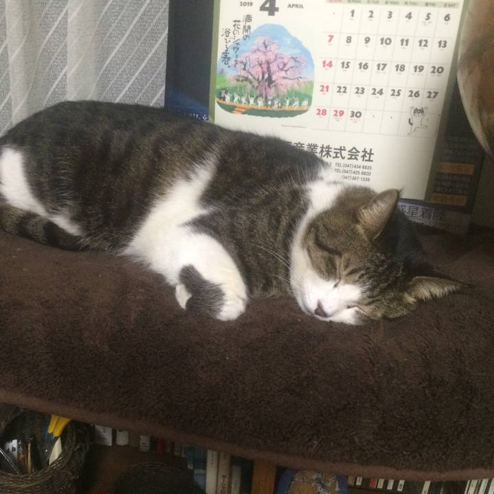 0450a0a5 a0a5 477b b21a 8a0dc3930c6b 1550673292655