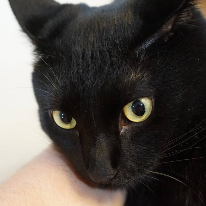 0450b167 284a 48ad ada6 9db901dd86e3 1530833246733