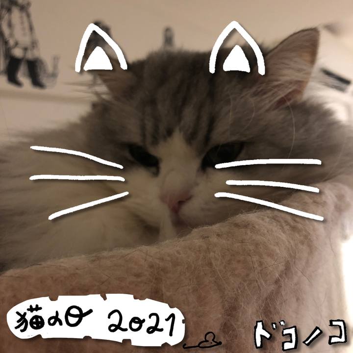 045119de 9f31 4e16 82f1 a9526df3ccb8 1613999073070