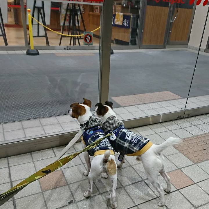 04513a4b 3a98 45dc 927b 7c4ed3171b5e 1534677169461