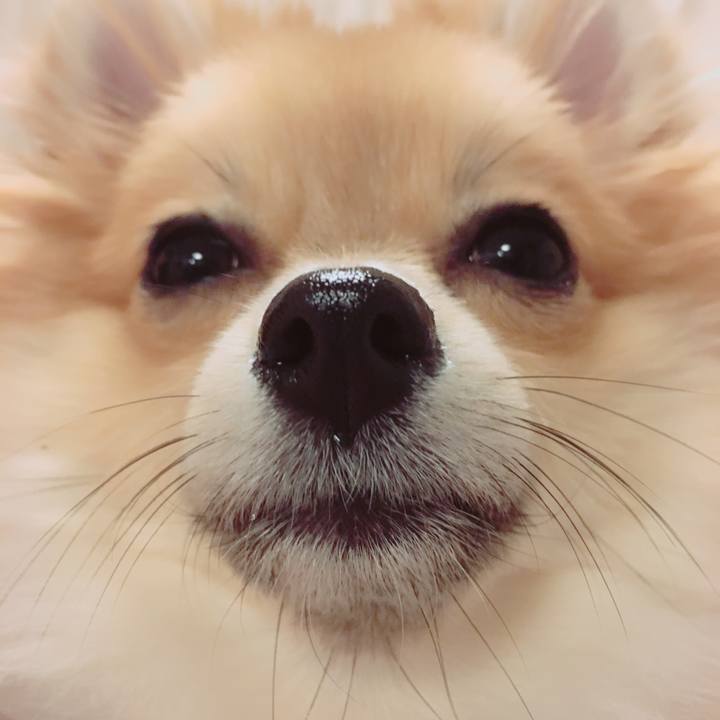 04513b56 0173 443a 9ca4 9dbe717b9a80 1512223553878