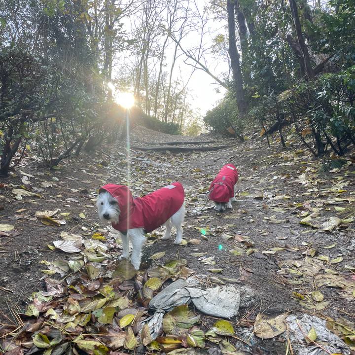 04514db0 375e 46d8 8c17 dc6b5f96e006 1701300692287