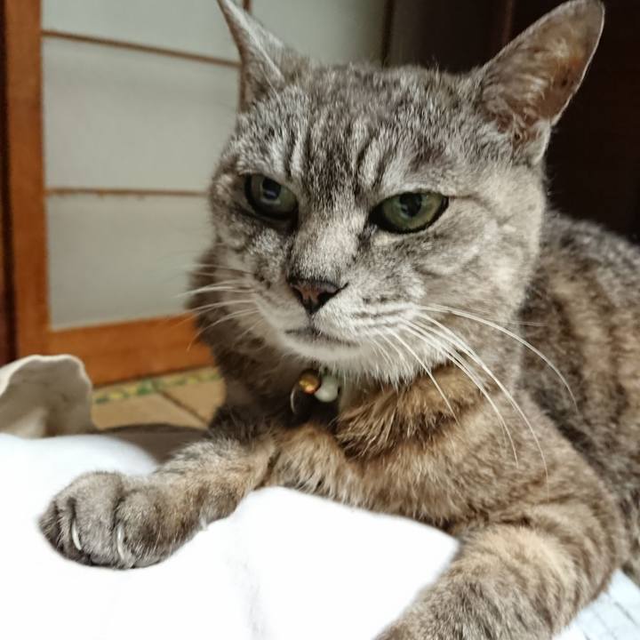 045155f9 7a86 4908 a0a0 8e222d1f492f 1566730961236