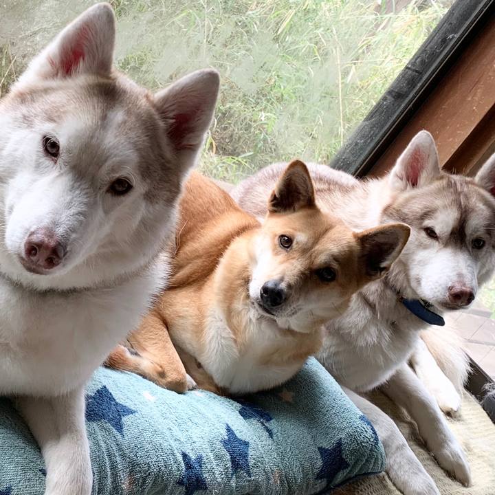 0451addb 5036 4689 be21 6afbf961b064 1585981779247