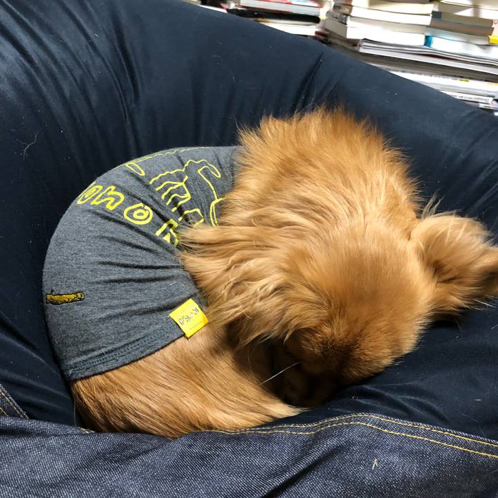 0451e486 5b0a 4234 a4e6 5a740fc05095 1515196941448