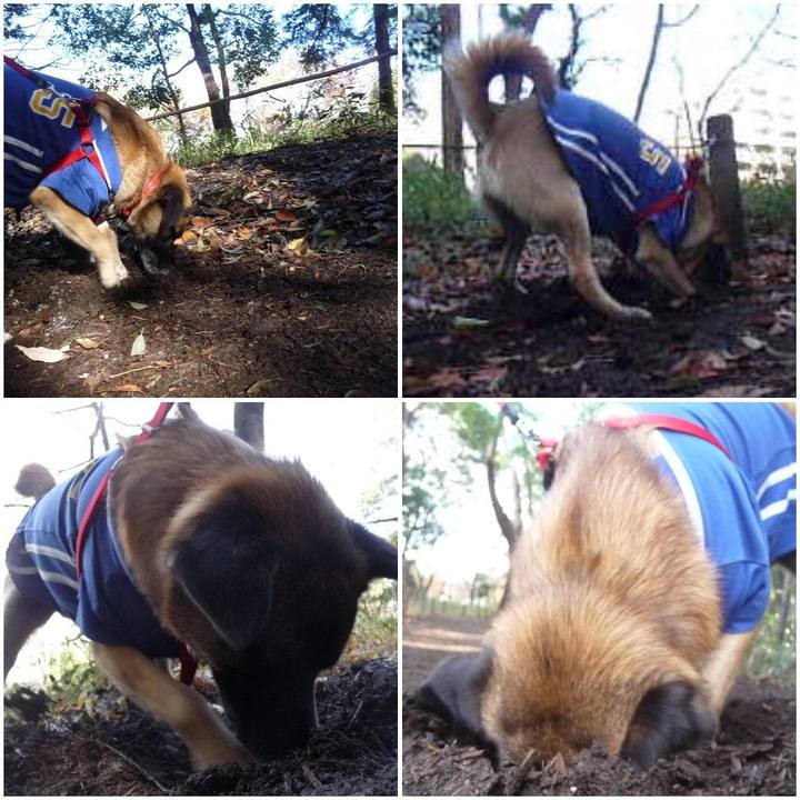 045224b2 c349 48a3 93bc a7399060f4b4 1576749977200