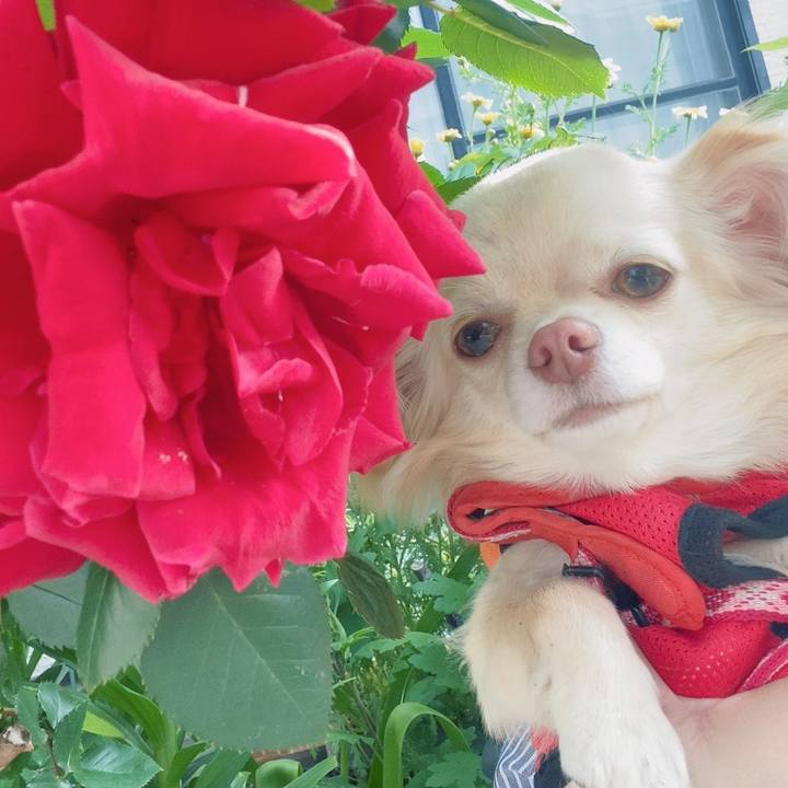 045294fc 7e73 41ec a67f 130e7994c7b5 1619597670202