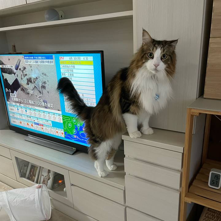 0452dcbb 74a8 4b56 bef8 579fb2e80778 1717356827647