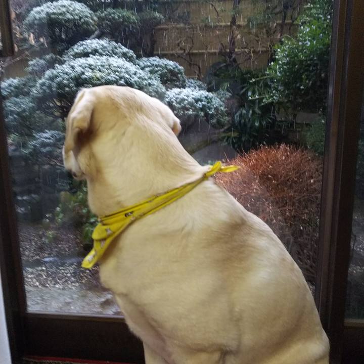 045332d7 5d12 4945 912c 1d6a2e7707ea 1516604917324