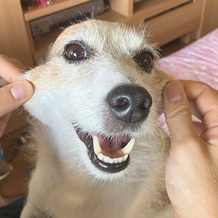 04534850 5bd4 4493 a7a4 5c681832e63f 1723944677586