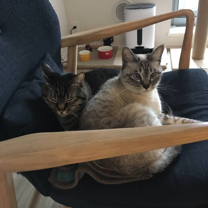 04534ebe bf16 44fb 991a 6c8135e871b5 1584163388513