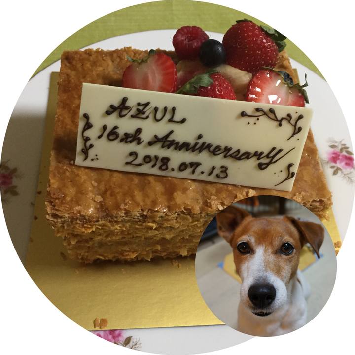 04536b98 aa99 4eb9 beef 347df995a388 1531483625522