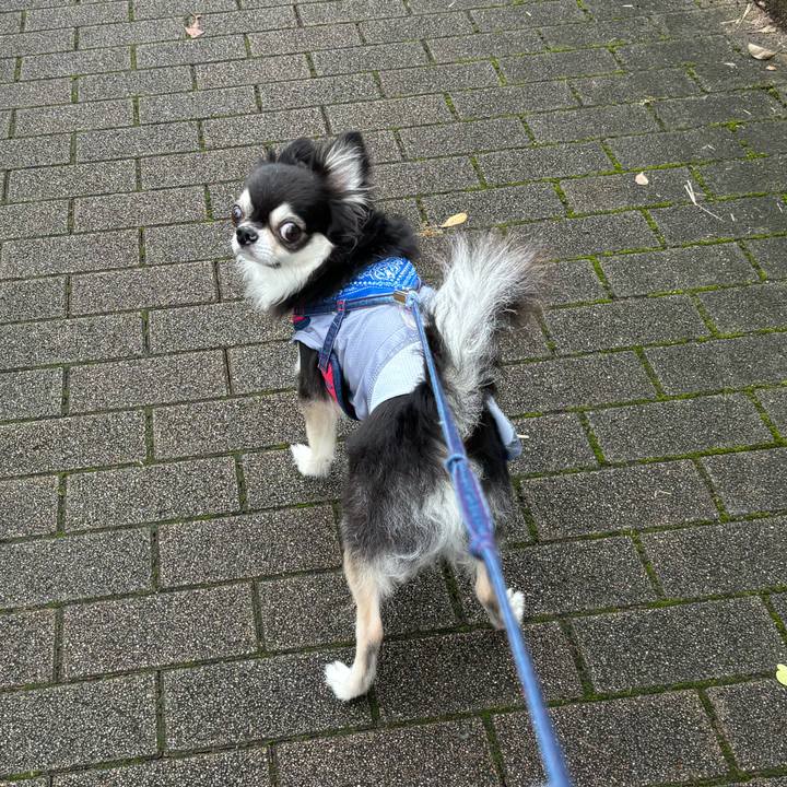 04537c50 5284 4bdd a0b7 74ec6c399248 1728231076988