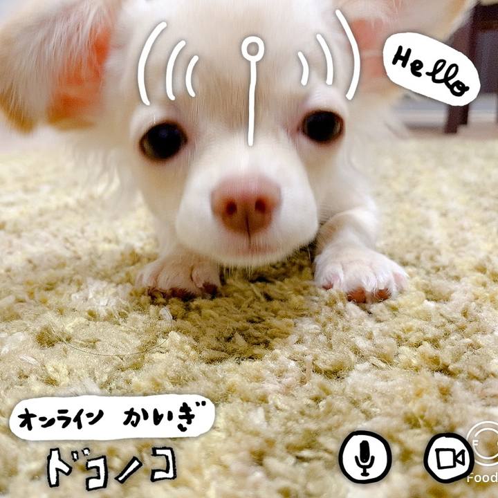 0453aba6 9be8 486b a7f1 1472b707f9a1 1594011750734