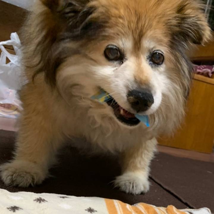 0453b8d7 5de3 40d1 b292 a70eb3dfe1f8 1612247599169