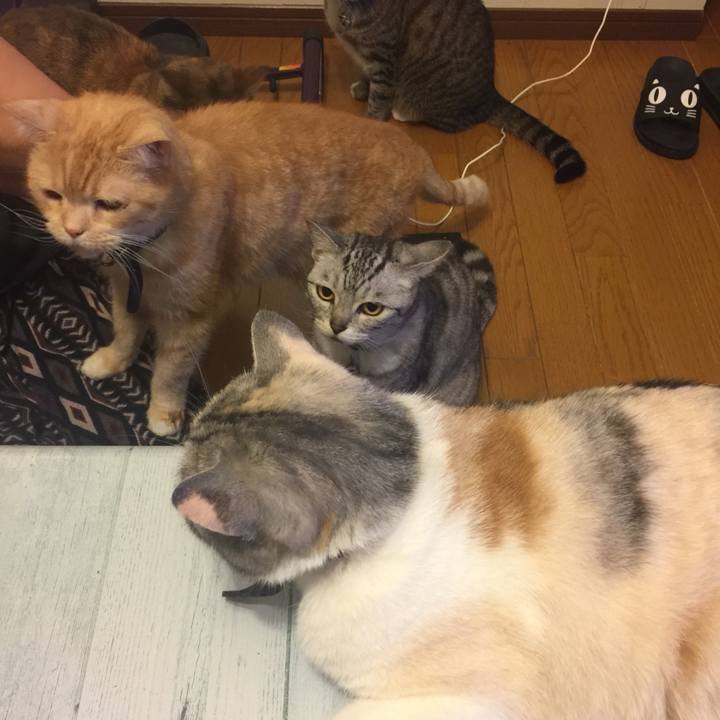 04540c76 cffa 4352 b107 caa9e09495b3 1561642822543