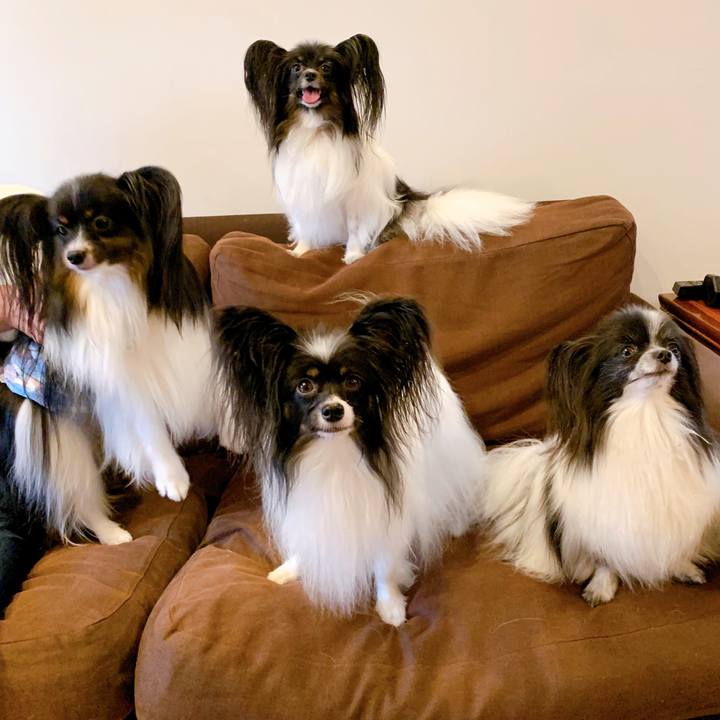 04546917 5bf7 4dda 81d1 877e8da2fab5 1569150360367