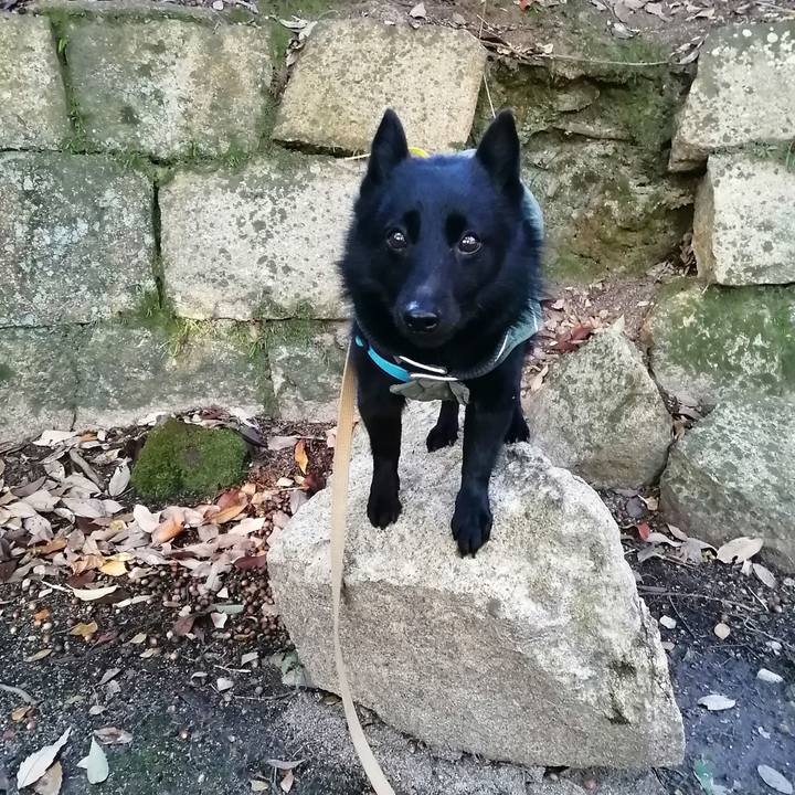 0454710e c578 496c a1e0 32df1e2f4534 1672269011517